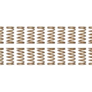 Ferrea Single Valve Springs for R35 GTR (S10137)