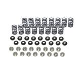 Ferrea Beehive Single Valve Spring Kit for DSM / Evo 1-3 (S2015 E12021 SL1091)