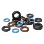 FIC Injector Seal Kit for High-Z Evo DSM (SLK 125/6x4H)