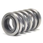 Supertech Dual Valve Spring Kit for Evo X