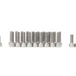 STM Stainless Valve Cover Bolt Kit - Evo 8/9
