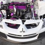 STM Carbon Fiber Front Bumper Shutters - Evo 8