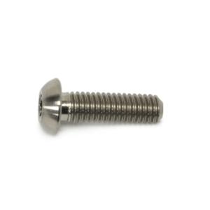 STM Titanium Bolts & Flat Washers (M6-1 x 20mm)