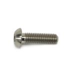 STM Titanium Bolts & Flat Washers (M6-1 x 20mm)