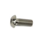 STM Titanium Bolts & Flat Washers (M8-1.25 x 20mm)