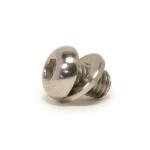 STM Titanium Bolts & Flat Washers (M8-1.25 x 12mm)