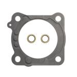 STM Throttle Body Shaft Seals for DSM/Evo/3S