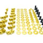 Dress Up Bolts Titanium Stage 2 Engine Bay Kit for 2015-2021 WRX/STi (SUB-015)