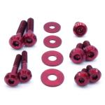 Dress Up Bolts Titanium Intercooler Kit for 2015-2021 STi (SUB-018)