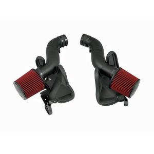 AEM Cold Air Intake