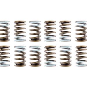Tomei Valve Springs for Evo X (TA304A-MT02A)
