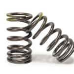 Tomei Valve Springs for R35 GTR (TA304A-NS01A)
