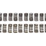 Tomei Valve Springs for R35 GTR (TA304A-NS01A)