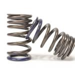 Tomei Valve Springs for R35 GTR (TA304A-NS01A)