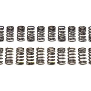 Tomei Valve Springs for R35 GTR (TA304A-NS01A)