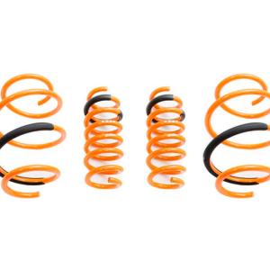 Megan Racing Lowering Springs for MKV Supra (MR-LS-TSU20)