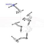 Whiteline Rear Control Arm Lower Inner Bushings for Evo 4-9 (W62951)