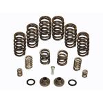 BD Diesel Governor Spring Kit - 4000rpm - 12-valve - P7100 Pump
